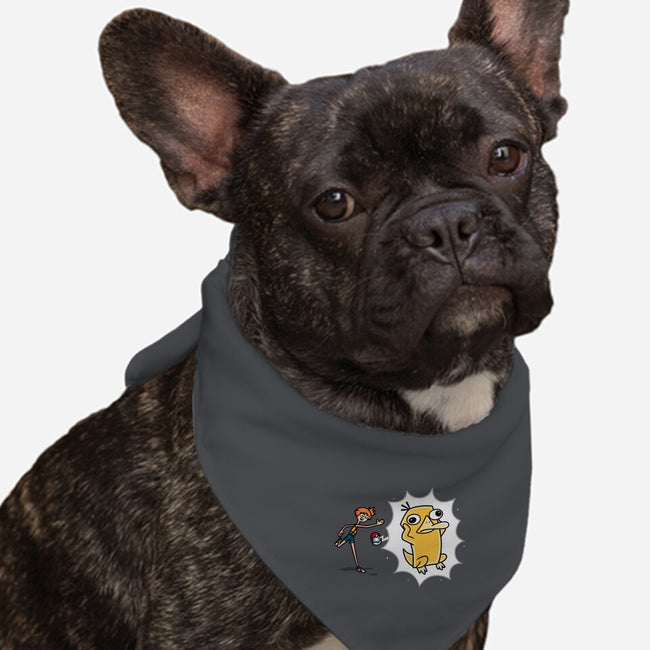 Psyplatypus-Dog-Bandana-Pet Collar-Raffiti