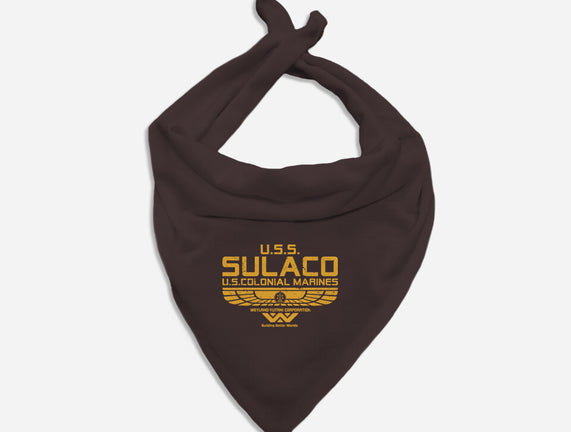 USS Sulaco