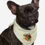 No More Tolerance-Dog-Bandana-Pet Collar-estudiofitas