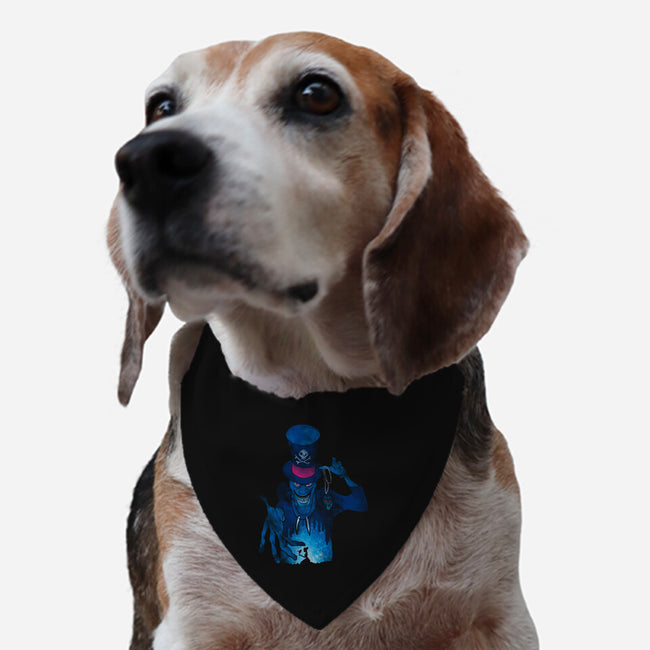 Witch Doctor-Dog-Adjustable-Pet Collar-dalethesk8er