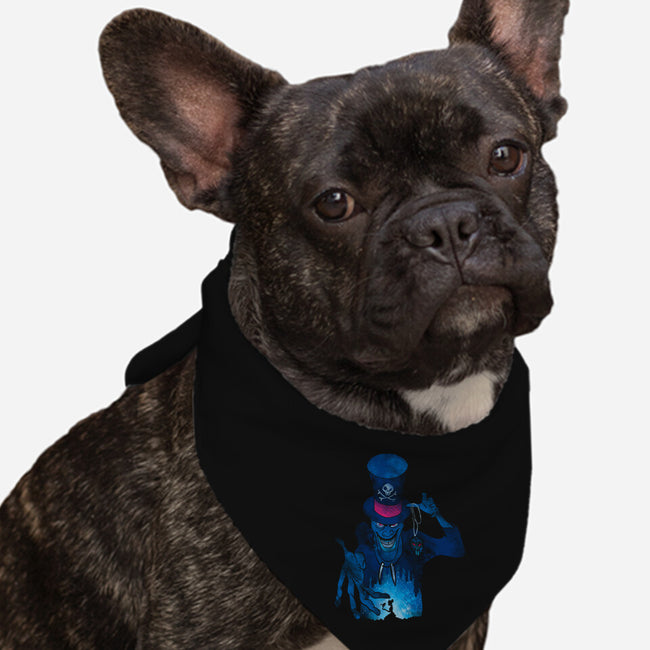 Witch Doctor-Dog-Bandana-Pet Collar-dalethesk8er