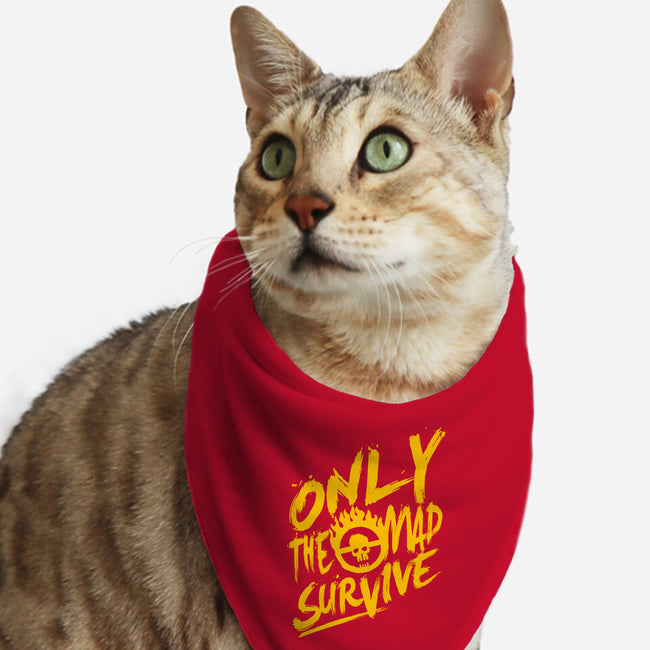 Only The Mad-Cat-Bandana-Pet Collar-demonigote