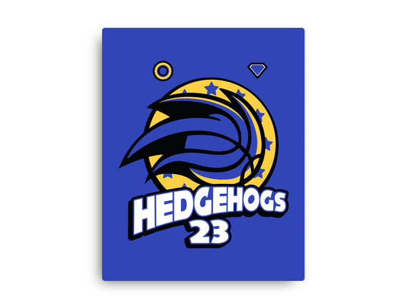 Hedgehogs Jersey