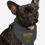 Hylians Jersey-Dog-Bandana-Pet Collar-estudiofitas