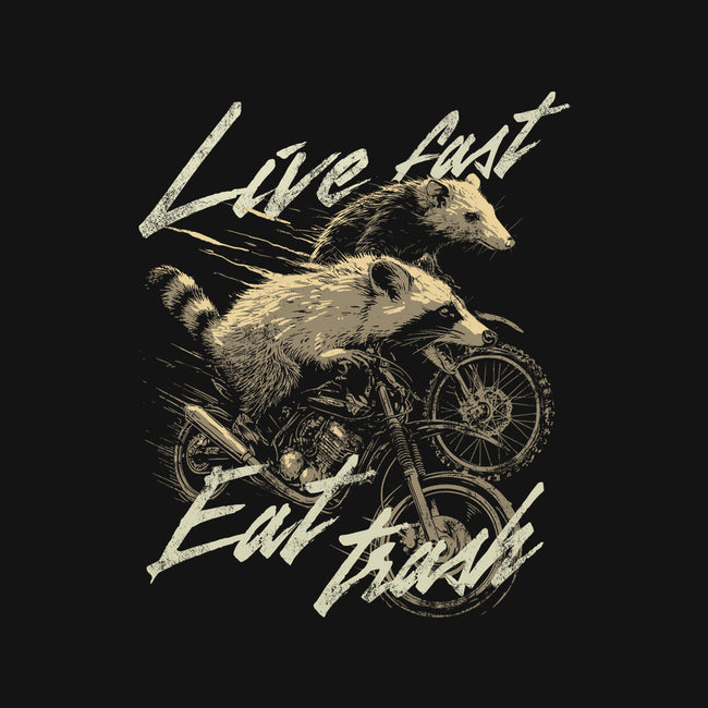 Raccoon Live Fast Eat Trash-Unisex-Pullover-Sweatshirt-GoshWow