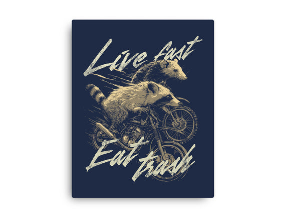 Raccoon Live Fast Eat Trash