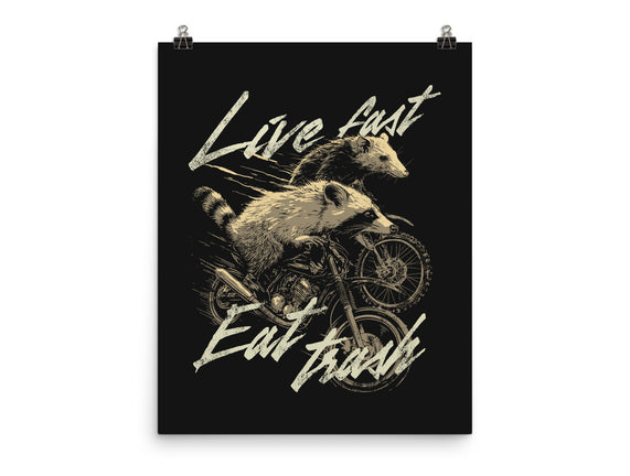 Raccoon Live Fast Eat Trash