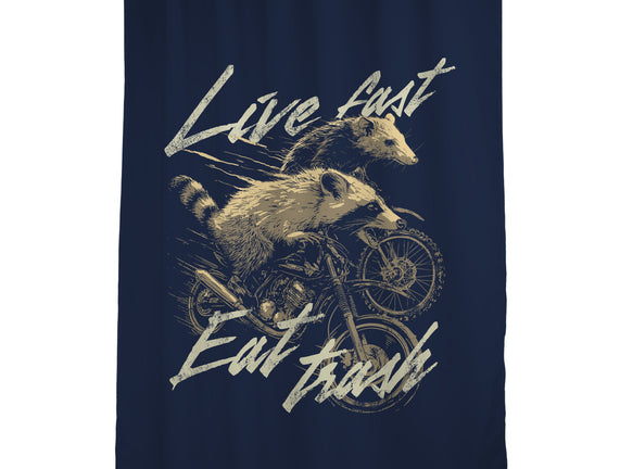 Raccoon Live Fast Eat Trash