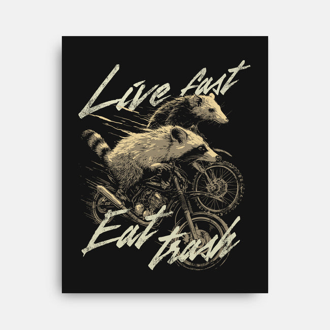 Raccoon Live Fast Eat Trash-None-Stretched-Canvas-GoshWow