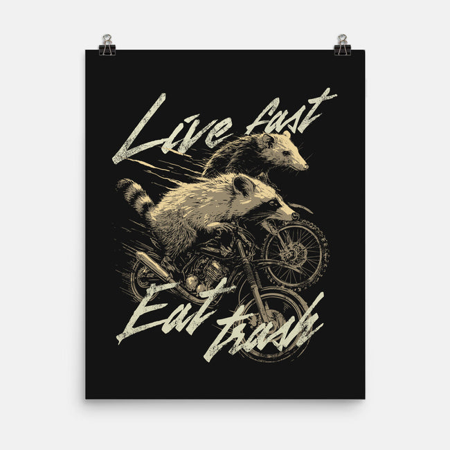 Raccoon Live Fast Eat Trash-None-Matte-Poster-GoshWow