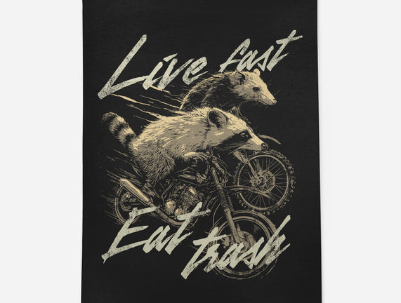 Raccoon Live Fast Eat Trash