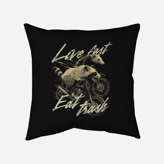 Raccoon Live Fast Eat Trash-None-Non-Removable Cover w Insert-Throw Pillow-GoshWow