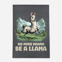 Drama Llama-None-Outdoor-Rug-GoshWow