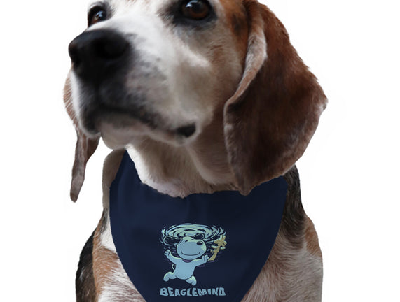 Nevermind Beagle Music