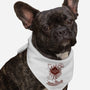 Marauder's Map-Dog-Bandana-Pet Collar-dalethesk8er