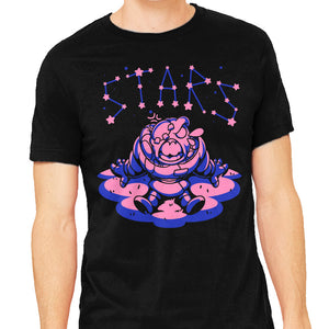 Stars Watcher