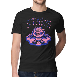 Stars Watcher