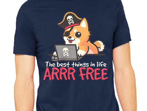 Web Pirate Dog