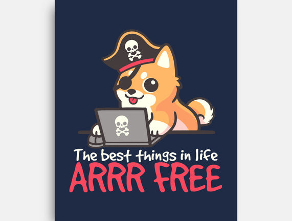 Web Pirate Dog