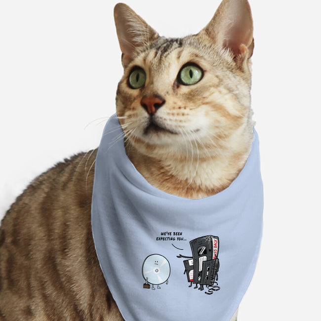 Getting Old-Cat-Bandana-Pet Collar-Gamma-Ray