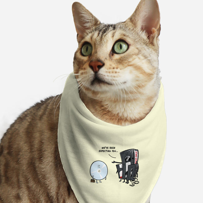 Getting Old-Cat-Bandana-Pet Collar-Gamma-Ray