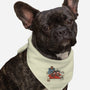 Fallnuts-Dog-Bandana-Pet Collar-Betmac