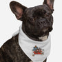 Fallnuts-Dog-Bandana-Pet Collar-Betmac