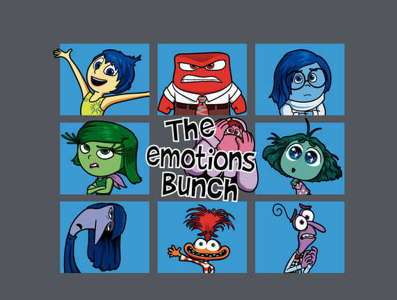 The Emotions Bunch