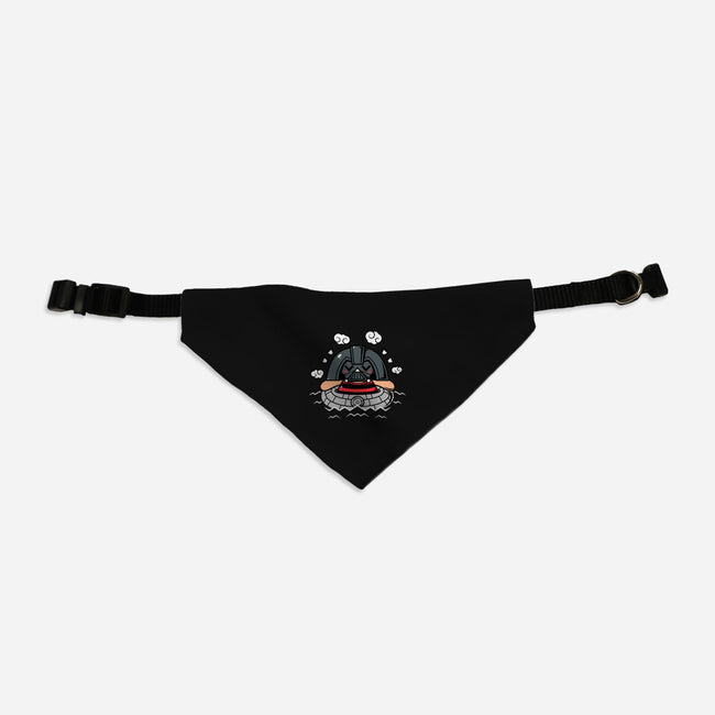 Darth Summer-Cat-Adjustable-Pet Collar-krisren28