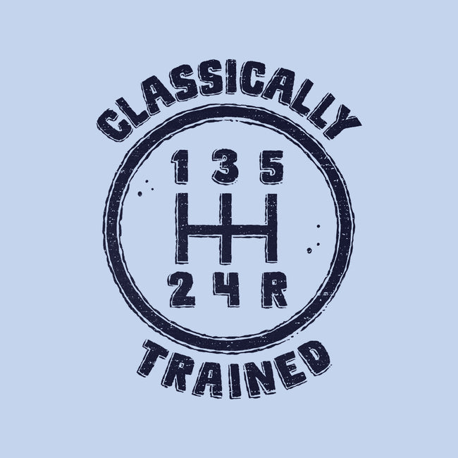 Classically Trained Driver-None-Outdoor-Rug-kg07