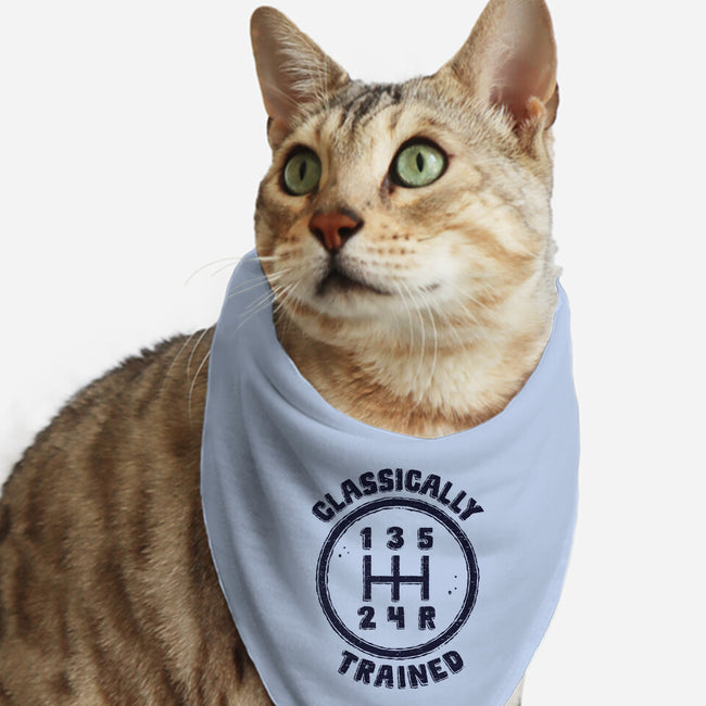 Classically Trained Driver-Cat-Bandana-Pet Collar-kg07