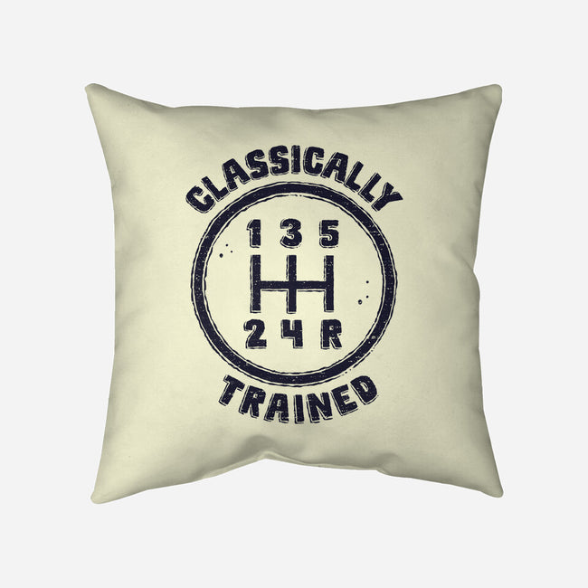 Classically Trained Driver-None-Non-Removable Cover w Insert-Throw Pillow-kg07