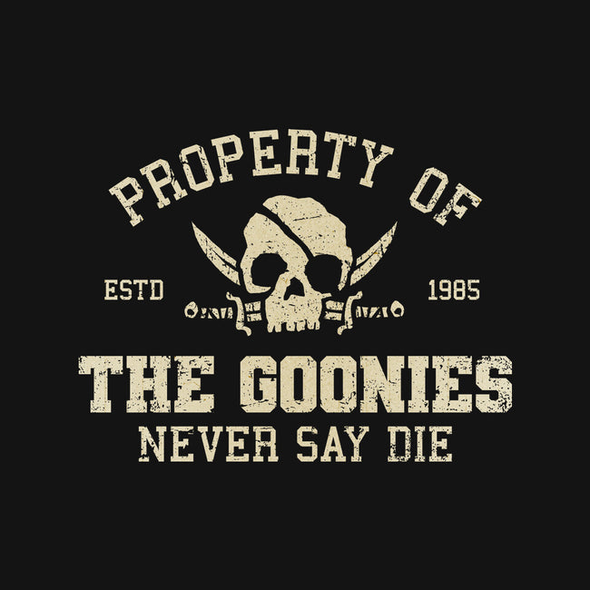 Property Of The Goonies-Dog-Bandana-Pet Collar-kg07