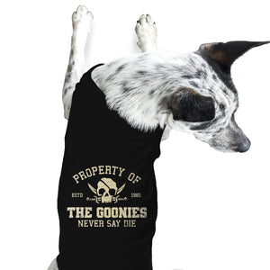 Property Of The Goonies