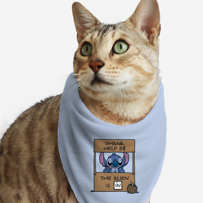 Ohana Help-Cat-Bandana-Pet Collar-Barbadifuoco