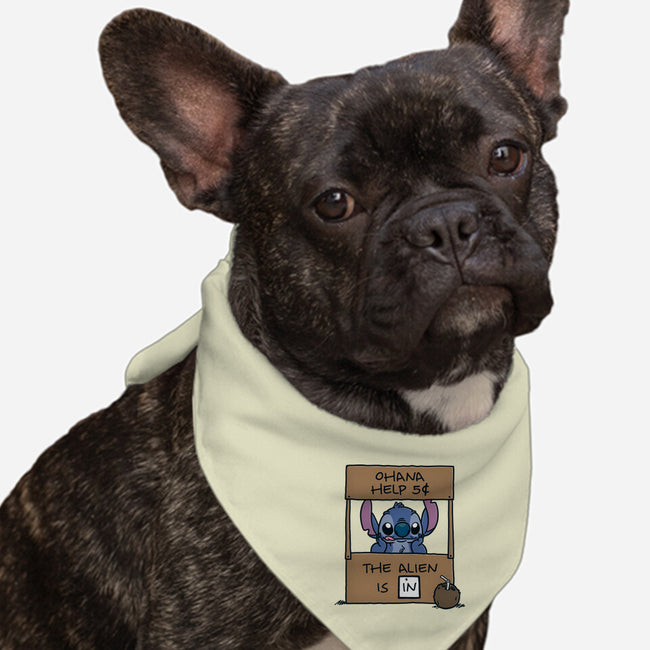 Ohana Help-Dog-Bandana-Pet Collar-Barbadifuoco
