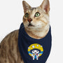 Summer Princess-Cat-Bandana-Pet Collar-krisren28