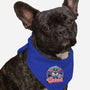 The Wicked Sea-Dog-Bandana-Pet Collar-glitchygorilla