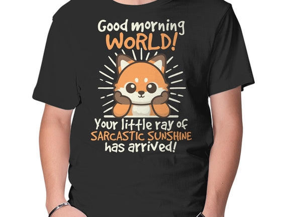 Fox Sarcastic Sunshine