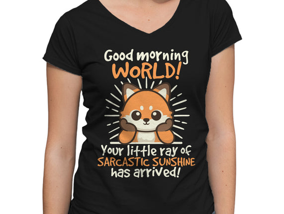 Fox Sarcastic Sunshine