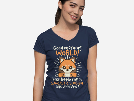 Fox Sarcastic Sunshine