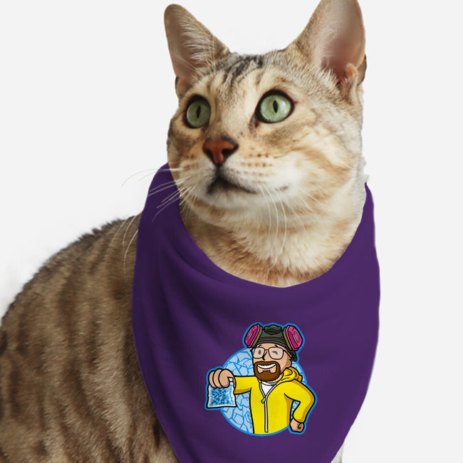 Meth Boy-Cat-Bandana-Pet Collar-Barbadifuoco