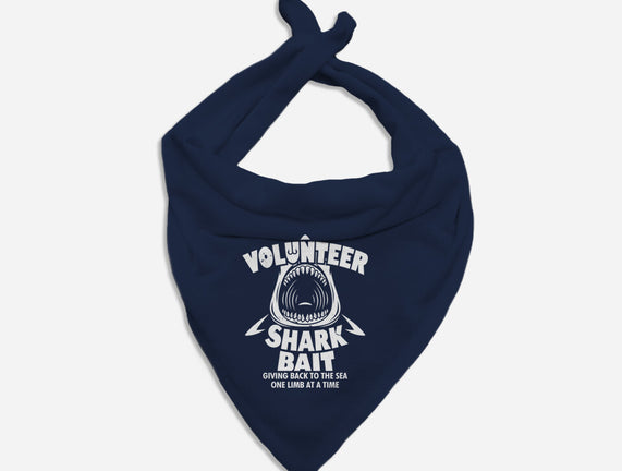 Volunteer Shark Bait