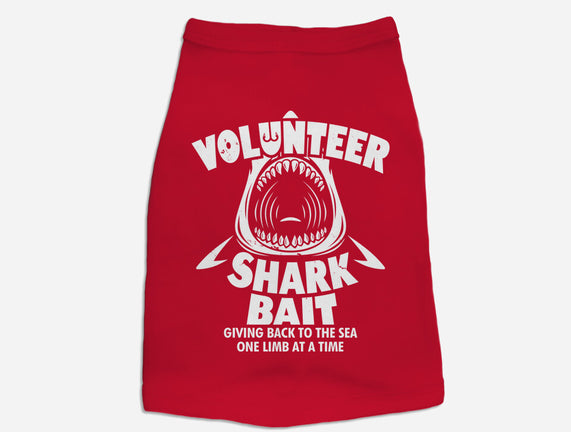 Volunteer Shark Bait