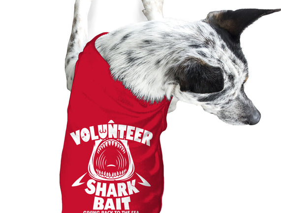 Volunteer Shark Bait