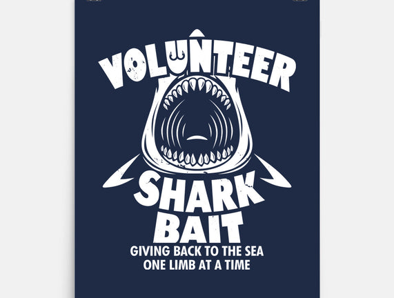 Volunteer Shark Bait