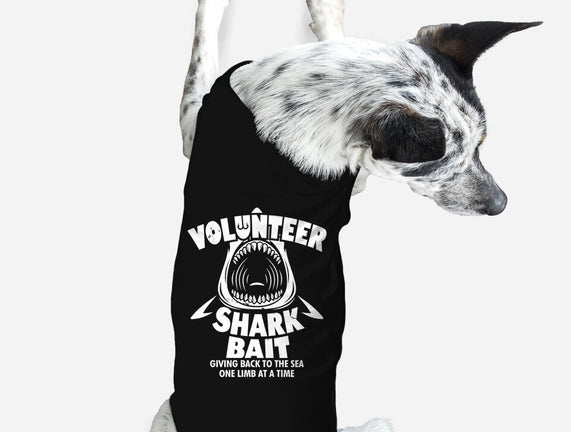 Volunteer Shark Bait