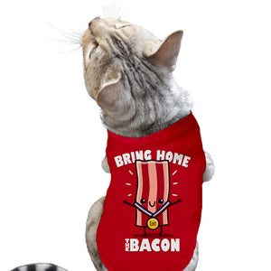 Bring Home The Bacon