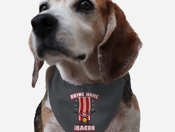 Bring Home The Bacon