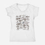 The Collection-Womens-V-Neck-Tee-kg07